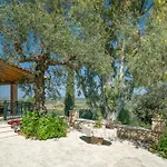 Aelia * Kallithea (Zakynthos)